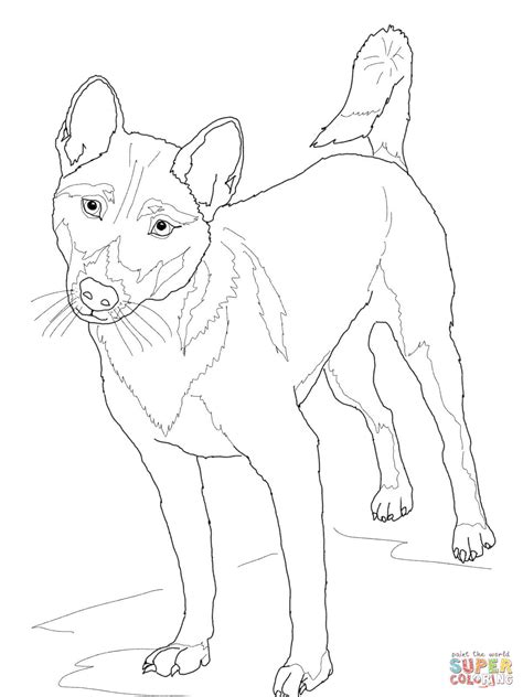 Dhole Coloring Page Coloring Pages