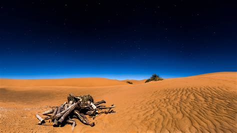 Night In The Sahara Desert 4k Wallpaper