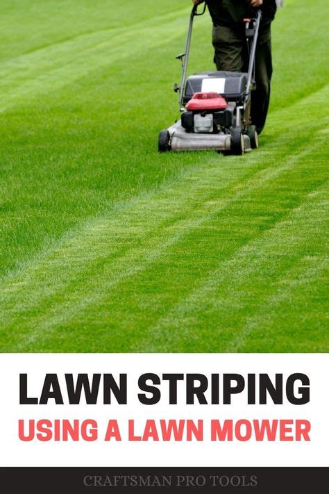 52 Best Lawn Mowing Tips Images In 2020 Lawn Mowing Lawn Maintenance
