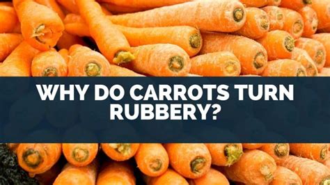 Why Do Carrots Turn Rubbery