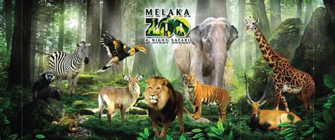 Address, phone number, malacca zoo reviews: Dapat Hadiah Istimewa Kalau Korang Tolong Namakan 'Anak ...