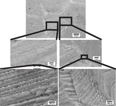 High Magnification Sem Micrographs Of The Rumpled Platinum Aluminide Bc