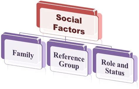 What Are Social Factors Influencing Consumer Behavior Business Jargons