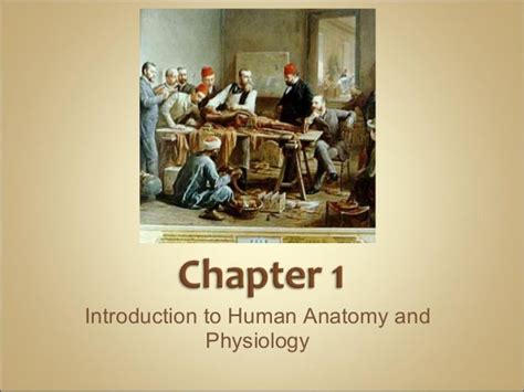 Anatomy And Physiology Introduction Chapter 1 Notes
