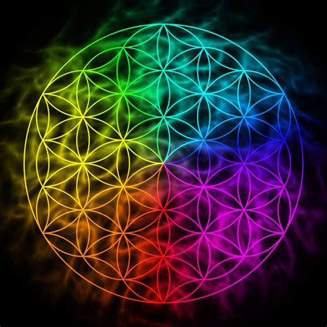 The Flower Of Life A Pattern That Makes Up Everything Around Us