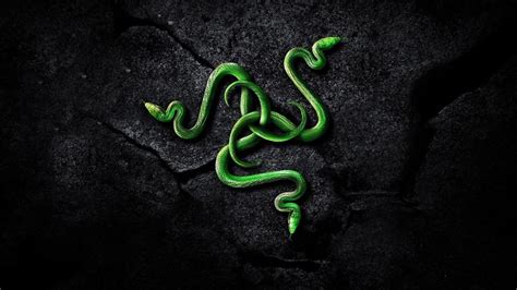Green Snake Razer Logo Hd Razer Wallpapers Hd Wallpapers Id 52299