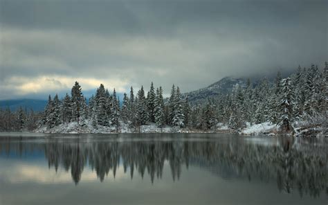 Water Lakes Reflection Trees Shore Forest Winter Snow Sky