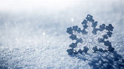 Nature Snowflake 4k Ultra Hd Wallpaper