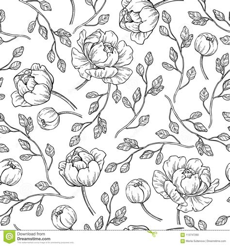 Peony Flower Seamless Pattern Drawing Vector Hand Drawn Engrave Stock