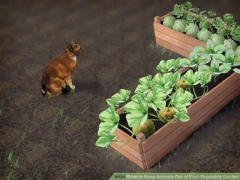 Move them from time to time to. 3 Ways to Keep Animals Out of Your Vegetable Garden - wikiHow