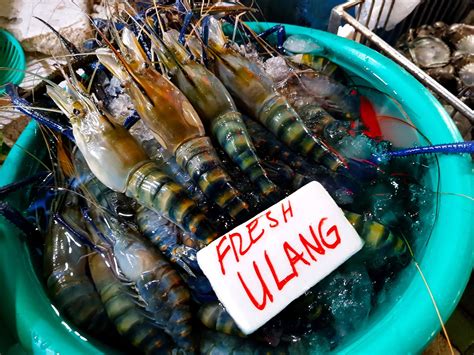 Why Pinoy Ulang Might Overtake The Global Shrimp Market Wazzup