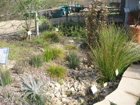 Creating a rain garden photo by city of maplewood, minnestoa. Mother Nature's Backyard - A Water-wise Garden: Preparing ...