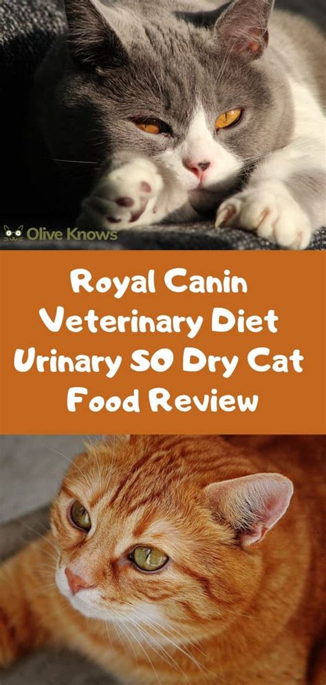In this article, we analyzed royal canin calm dry cat food reviews. Royal Canin Veterinary Diet Urinary SO Dry Cat Food Review ...