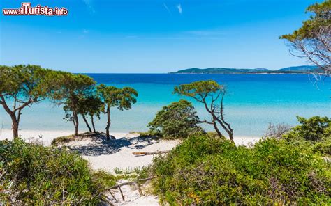 Le spiagge e le calette più belle di Alghero