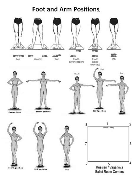 Target.com has been visited by 1m+ users in the past month Ballet arm/leg positions | Ballet positions, Ballet ...