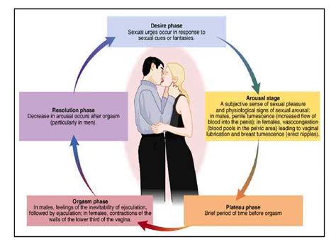 Disorders Of Sex And Gender Sexual Dysfunctions