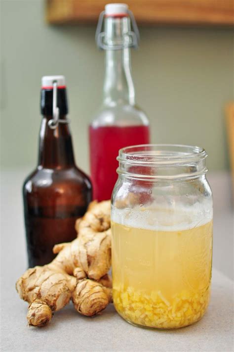 How To Make A Ginger Bug For Homemade Soda The