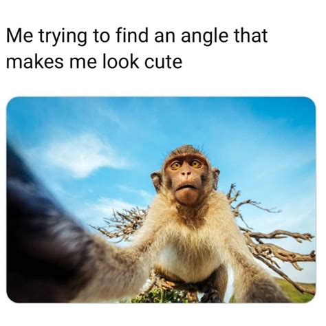 Me Trying To Find An Angle That Makes Me Look Cute Funny