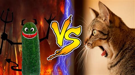 Cats Scared Of Cucumbers Compilation Part 2 Cats Vs Cucumbers