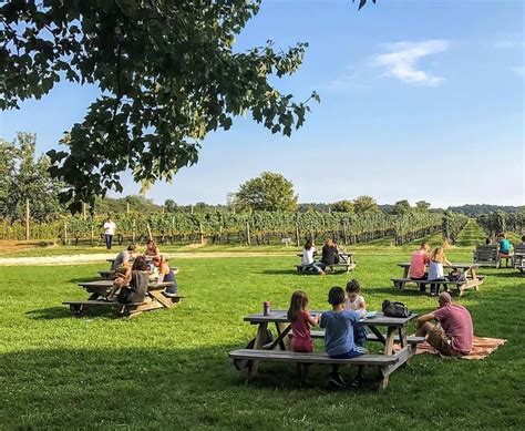 7 Most Beautiful Vineyards On Long Island With Map And Photos