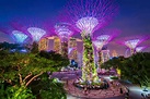 5 reasons to visit Singapore’s Gardens by the Bay | Better Homes and ...
