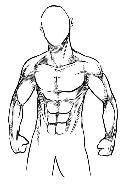 Pin De Justin Reynolds En A Lápiz Dibujo Musculos Cuerpo Humano