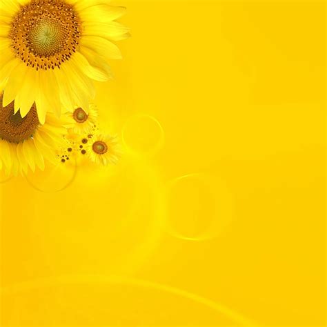 Yellow iPad Wallpapers - Top Free Yellow iPad Backgrounds - WallpaperAccess