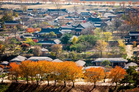 Andong Hahoe Folk Village 1day Tour From Seoul Everyday Open From