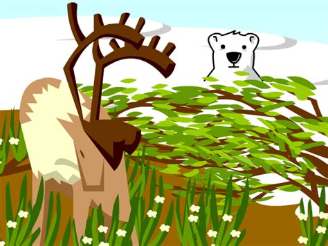 Tundra Lesson Plans And Lesson Ideas Brainpop Educators