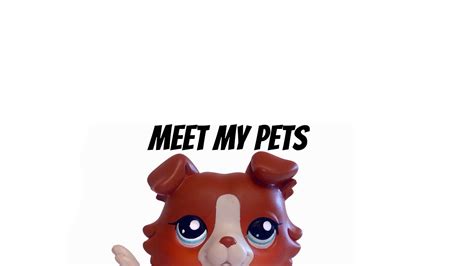 Lps Meet My Pets Youtube