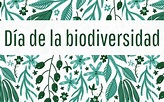 Día de la biodiversidad 2023 – Centro de Educación Ambiental de Casa de ...