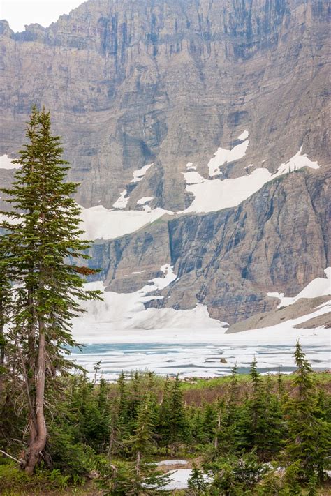 Glacier National Park Iceberg Lake And Ptarmigam Nelson Notes