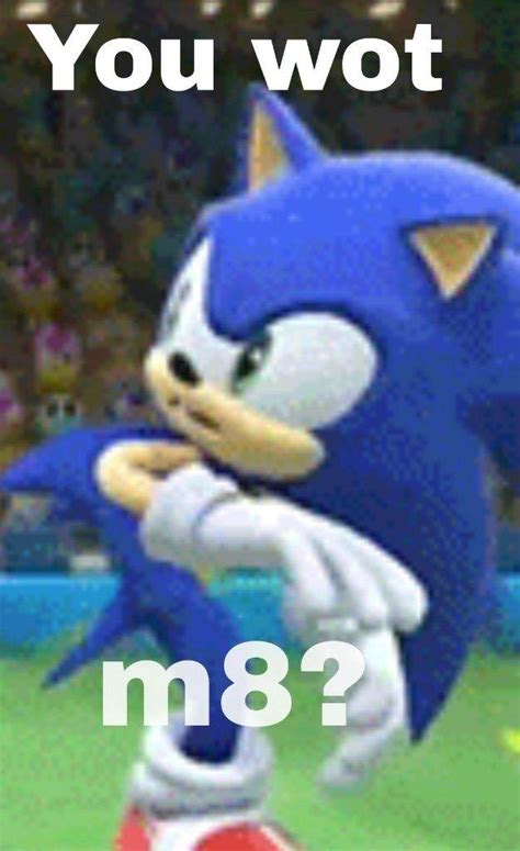 Sonic Memes Sonic The Hedgehog Amino