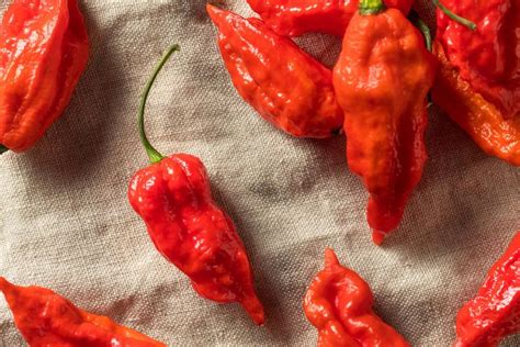 Heres A Complete Guide To Growing Ghost Pepper Plants Bhut Jolokia