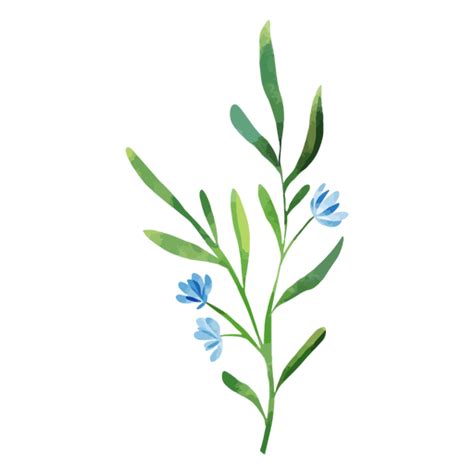 Watercolor Branch Blue Flowers Png And Svg Design For T Shirts