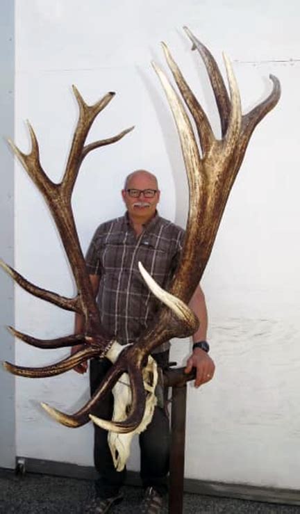 Ot New World Record Roosevelt Elk Excalibur Crossbow Forum