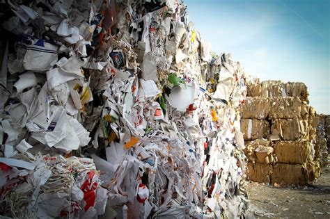 How To Avoid Health Hazards From Poor Waste Management Futureentech