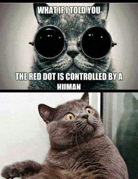 The Matrix Is Real Lol Red Dots Funny Animals