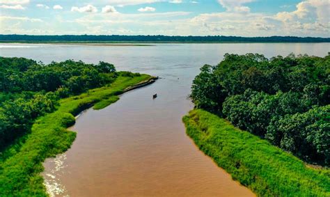 15 Curiosidades Del Río Amazonas El Más Grande Y Caudaloso Del Mundo