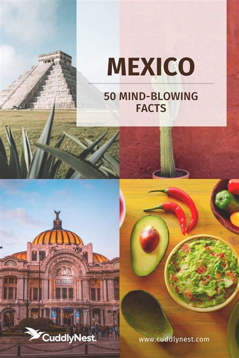 The 50 Fun Facts About Mexico That Will Blow Your Mind Cuddlynest