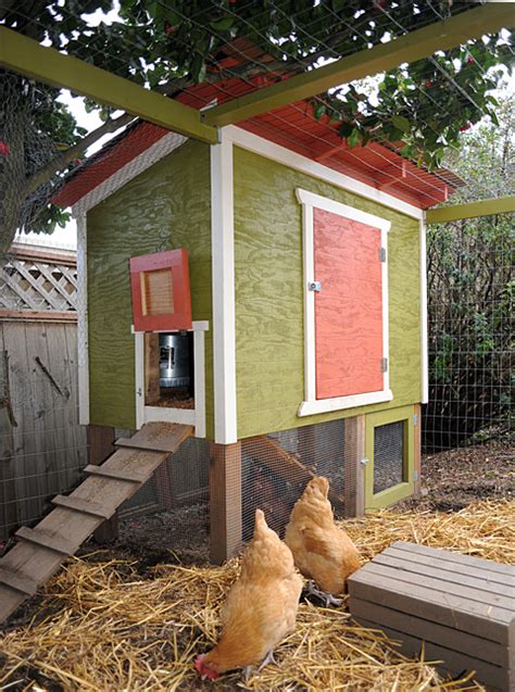infographic how to build our backyard chicken coop the tangled nest