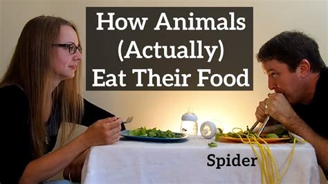 How Animals Actually Eat Their Food Youtube