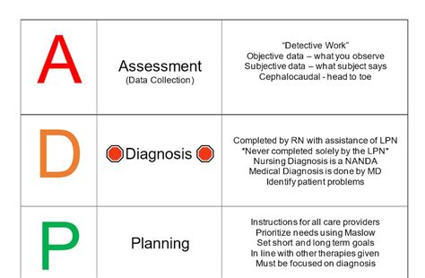 The Nursing Process Adpie Simple And Focused Chart With The Need To