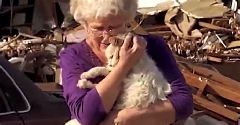 Woman Reunites With Cat After Alabama Tornado During Cnn Interview