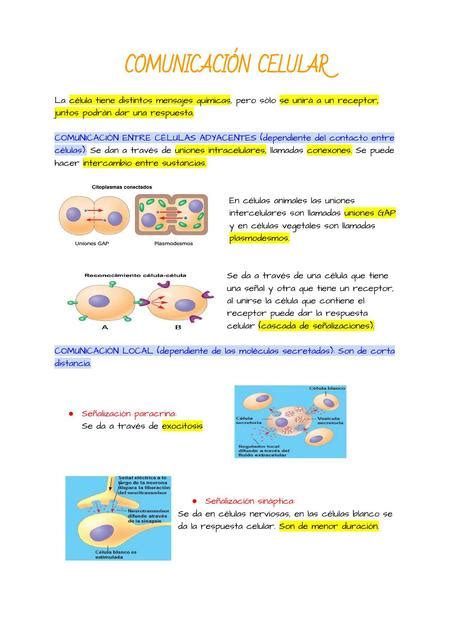 Comunicación Celular Biología Celular Célula Udocz