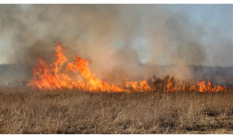 Wildfire Update Strathcona County