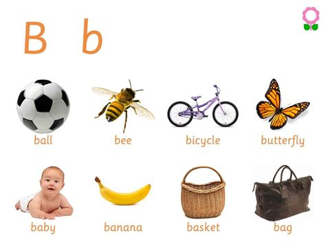 Vocabulary Words For Kindergarten Kids Holiday Educationist