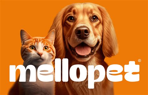 Vibrant and Happy Brand Strategy and Packaging Design for Mellopet