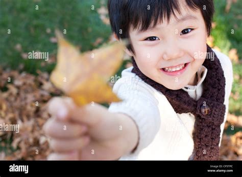 Boy Holding Up A Leaf In Autumn Stock Photo Alamy