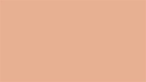 Peach Color Palette Codes Pink Tone Color Shade Background With Code